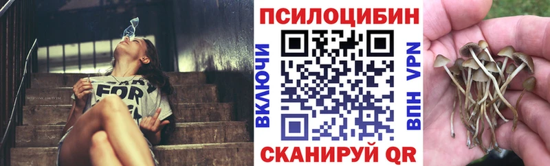 Галлюциногенные грибы прущие грибы Волосово